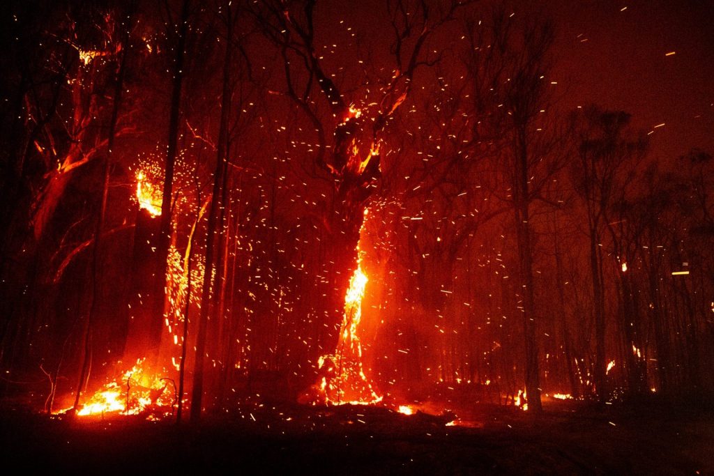 Australian Bushfires, 13th Of January